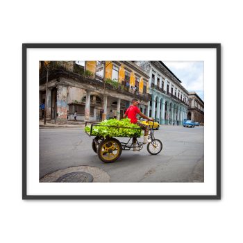 Cuban Street Vendor